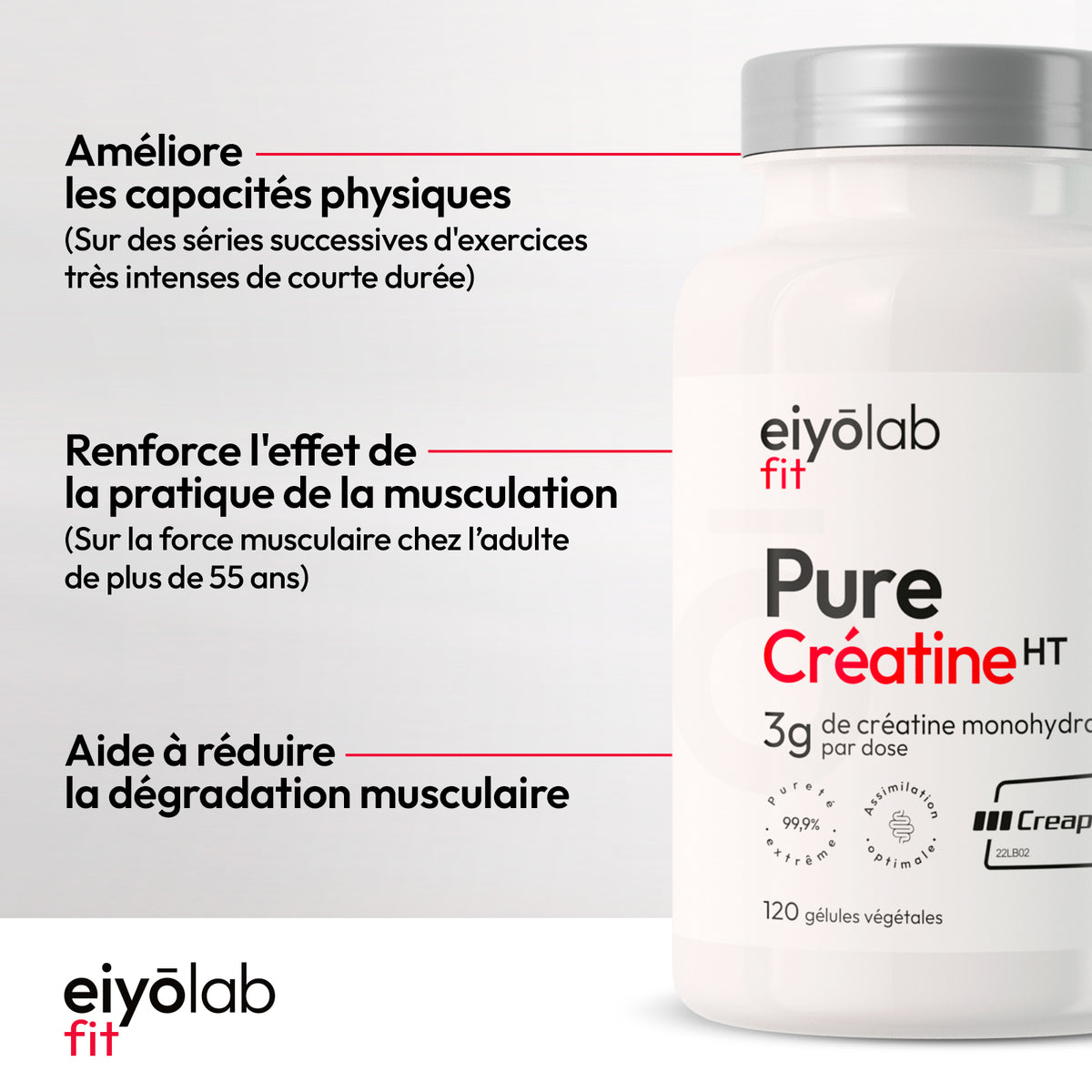 Pure Créatine HT en gélule - Creapure®