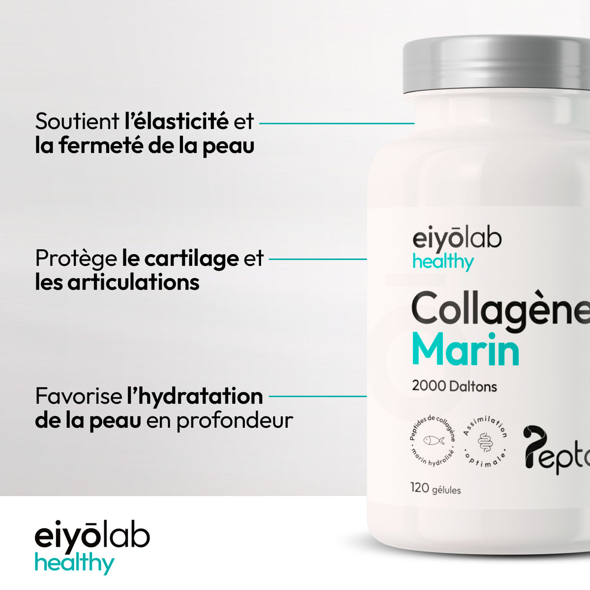 Collagène marin en gélule - Peptan®