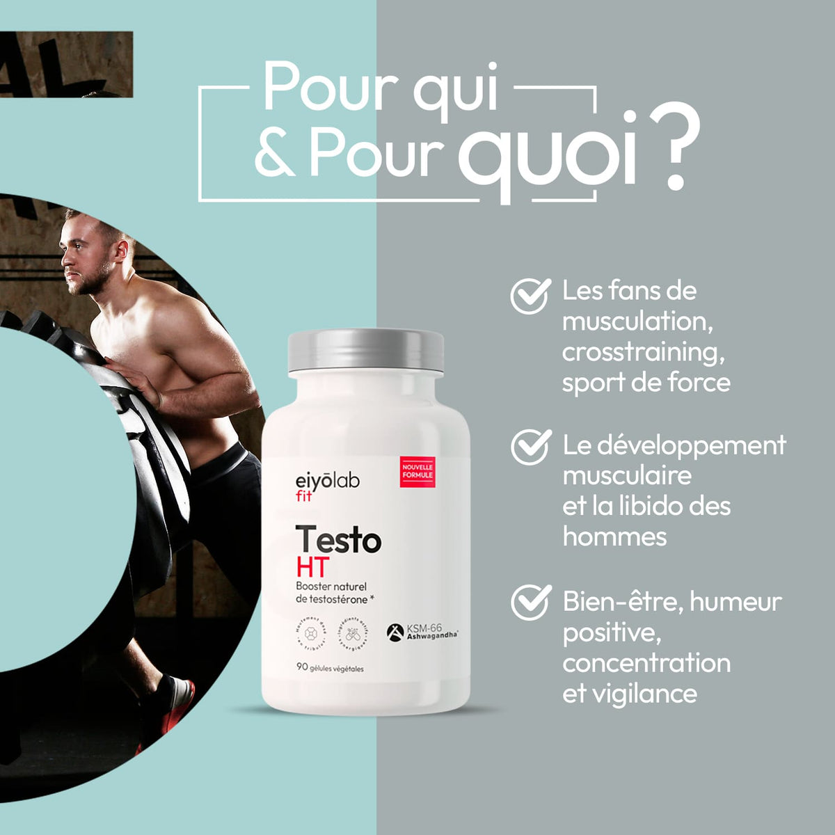Testo HT
